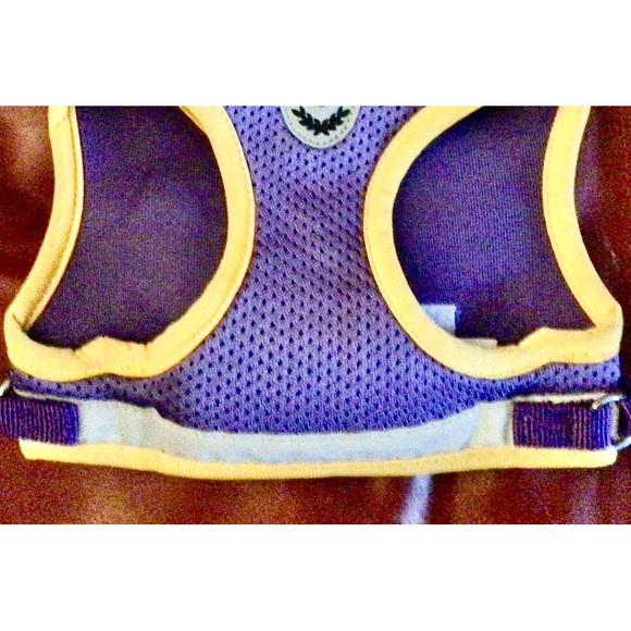 Dogs Harness and leash and dog brush,. new - Picture 2 of 16